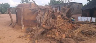 Rampaging Elephant Wrecks Kitchen in Hwange.webp