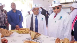 Zim Grain Goldmine Free Seeds for Farmers.webp