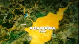 Adamawa Keke Riders Make Epic May Day Debut.webp