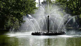 St Petersburg Dancing Fountain Craze Takes Over.webp