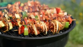 Russia Shashlik Costs Soar as Picnic Prices Explode.webp