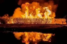 Transmara Sugarcane Plantation Goes Up in Flames.webp
