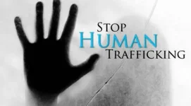 Fake Job Scammers Prey on Desperate Malawi Youth.webp
