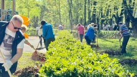 Workers Rebel Against Forced Office Cleanup Days.webp