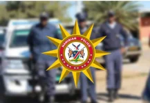 Trans Caprivi Horror Crash Kills Running Pedestrian.webp