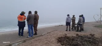 Man Leaves White Roses then Vanishes into Sea.webp