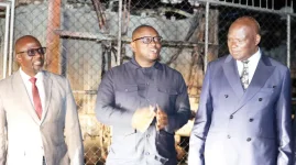 Hwange Power Glitch Drowns Harare in Darkness.webp