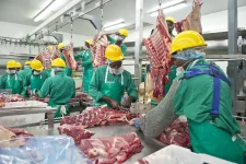 Meatco Board Caught in Corrupt Fix.webp