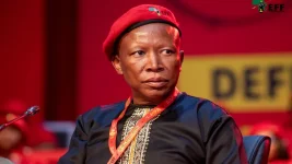 Malema Stranded As UK Denies Visa.webp