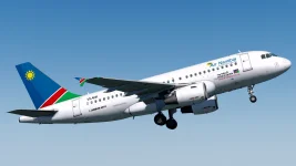 Ex-Namibia Crew Fight for New Airline Jobs.webp