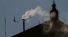 White Smoke Erupts as Vatican Picks Next Pope.webp