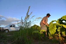 War Vets Block Mnangagwa Farm Payout.webp