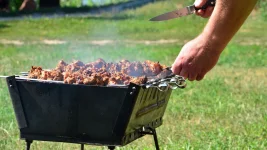 Petersburg Embraces BBQ Craze as Dacha Gear Soars.webp
