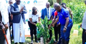 Centenary Bank and NFA Unleash Tree Army on Masindi Forest.webp