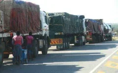 Illegal Mzimba Smugglers Prey on Hopeless Migrants.webp