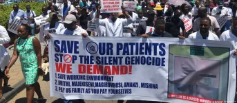 Zimbabwe Docs Say All Fine While Patients Suffer.webp