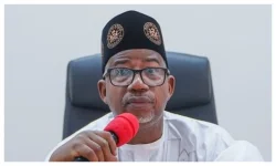 Bauchi Gov Declares War on Herders Causing Chaos.webp