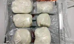 UK Cops Lose It Over Zimbabwean Sadza.webp