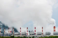 Zimbabwe's Blockchain Carbon Credit Craze.webp