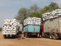 Gambia Farmers Fume Over Groundnut Pay Hold Up.webp