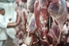 Zimbabwe Beef Output Soars in Epic Cattle Surge.webp