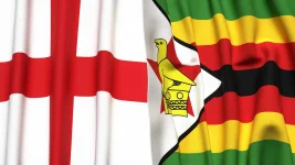 Bazball Mania as England Clash With Zimbabwe.webp