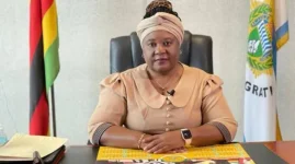 Zimbabwe Visa Drama Goes Digital Overnight.webp
