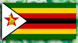 Zimbabwe Goes Blockchain Crazy for Carbon Credits.webp