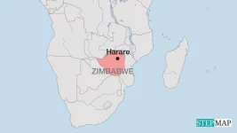 Magic Grains Make Zimbabwe Farms Drought Proof.webp