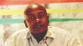 Zimbabwe Cashes In on Carbon Credit Craze.webp