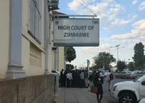 Harare judge frees 89 protesters on pocket change bail.webp