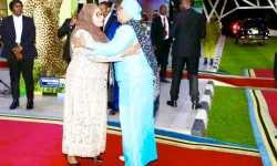 Namibia President Wows Tanzania with Surprise Visit.webp