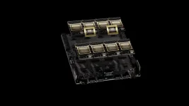 NVIDIA's Blackwell Smashes AI Speed Ceiling.webp