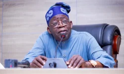 Shema to Shake Up Abuja FCDA.webp