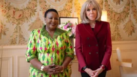 Mnangagwa's Paris Visit Sparks Zimbabwe Outcry.webp