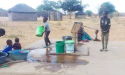 Kongola Left High and Dry After 17 Years.webp