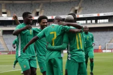 Nees Shocks Zimbabwe Fans With Fringe Squad Picks.webp