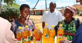Mzimba Farmers Hit Oil Cash Jackpot.webp