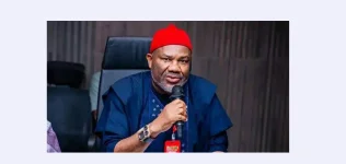 Onitsha Traders Held Hostage by NAFDAC Fee.webp