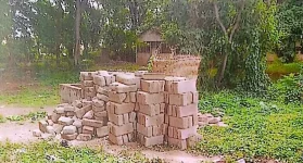 City Parks and Forests Ransacked by Land Grabbers.webp
