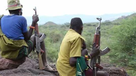 Niger Bandits Kill Villagers Rustle 200 Cattle.webp