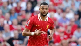 Liverpool Dares Bayern to Pay 75m for Gakpo.webp