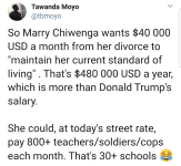 Marry Chiwenga Divorce - IMG2.png