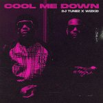 DJ Tunez (Michael Babatunde Adeyinka) and Wizkid (Ayodeji Ibrahim Balogun) - Cool Me Down.jpg