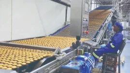 Mnangagwa Hypes National Foods Mega Factory Frenzy.webp