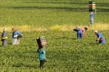 Farm Feud Turns to Friendship on Zimbabwe Soil.webp
