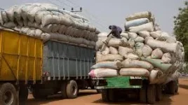 Groundnut Farmers Hit Jackpot as GGC Clears Debts.webp