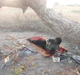 Homeless Tree Man Back After Health Scare.webp