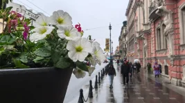 St Petersburg Shivers as Cyclone Crashes May Last Day.webp
