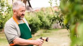 Addicted to Dirt Why Gardening Heals Your Mind.webp